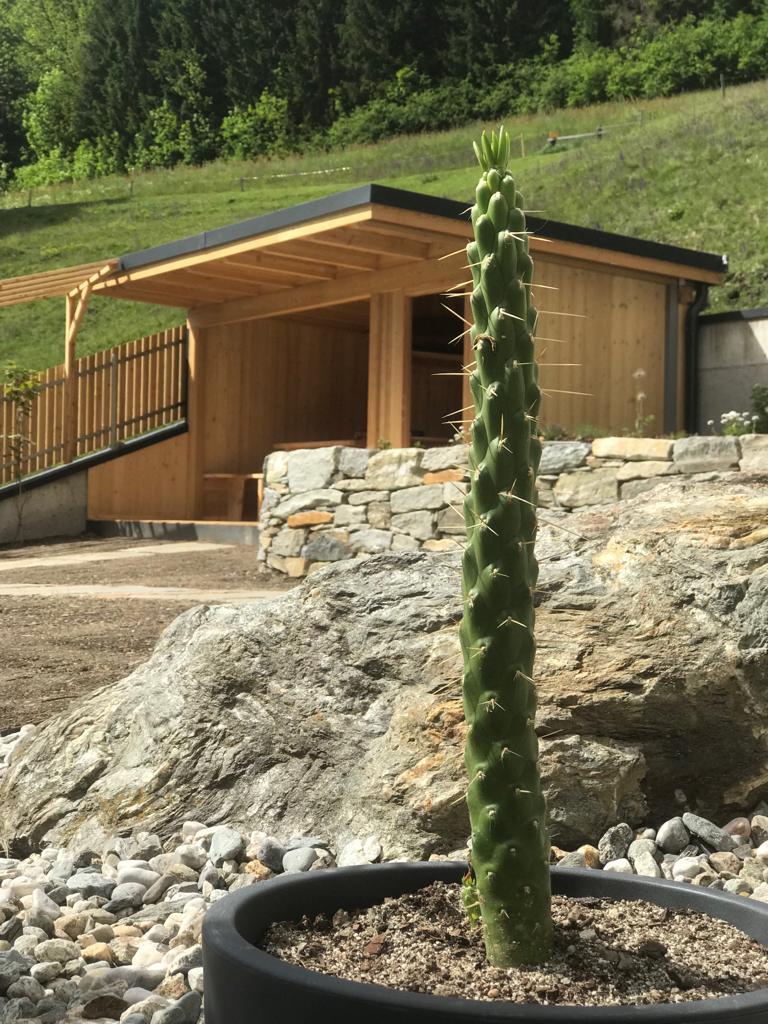 Gartenhaus aus Lärche mit Blechdach und Geräteschuppen